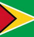 圭亚那巨人