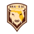 勇气队SC